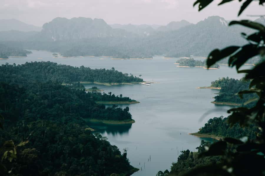 2 Days Khao Sok with Overnight at Cheow Lan Lake Raft House - Morning mist safari: wildlife time for gibbons, monkeys, and gaur