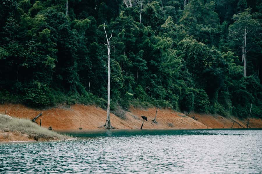 2 Days Khao Sok with Overnight at Cheow Lan Lake Raft House - Ta Kua Pa lunch and Southern Thai comfort food