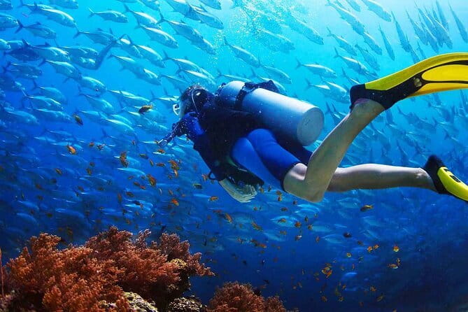 2 Fun Dives in Racha Yai or Noi for Certified Divers - Fitness, Medical Rules, and Weather: The Stuff You Shouldn’t Ignore