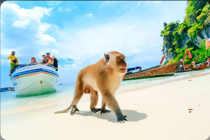 2x Snorkelling Phi Phi, Maiton, Maya Bay, khai islands tour - Viking Cave and Maya Bay: Icon Stops With Real-World Limits