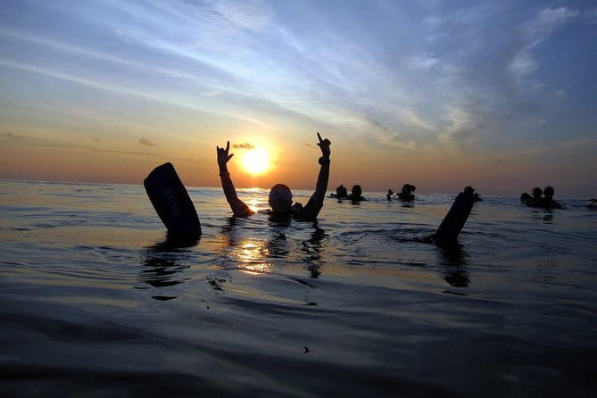 3 Fun Dives in Phi Phi islands for Certified Divers - Safety and Staff: Calm Coaching Plus Patient Support