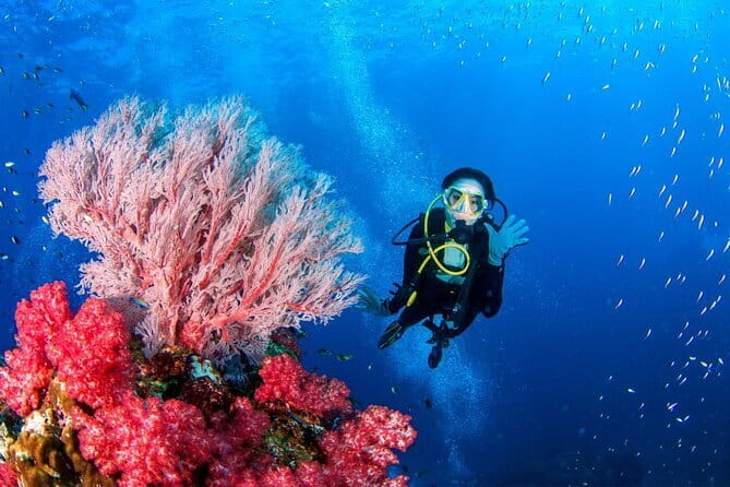 3 Fun Dives in Phi Phi islands for Certified Divers - Boat Comfort and Food: More Than Just a Free Lunch