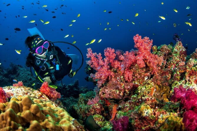 3 Fun Dives in Racha Yai and Racha Noi for Certified Divers - Key Highlights You’ll Care About