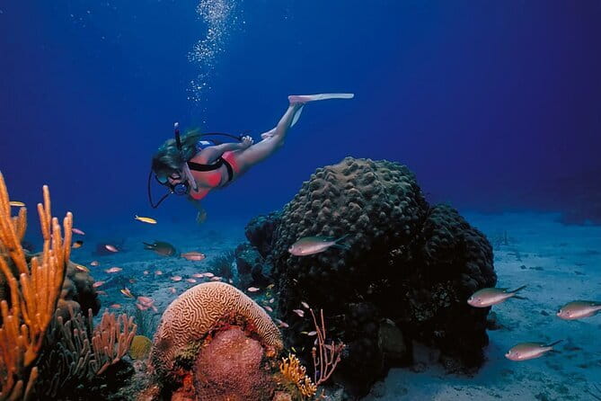 3 Fun Dives in Racha Yai and Racha Noi for Certified Divers - Why Racha Yai and Racha Noi Work So Well