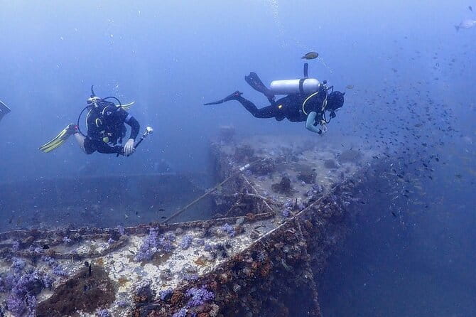 3 Fun Dives in Racha Yai and Racha Noi for Certified Divers - Safety Checks: Medical Limits, Alcohol Timing, and Flying Rules