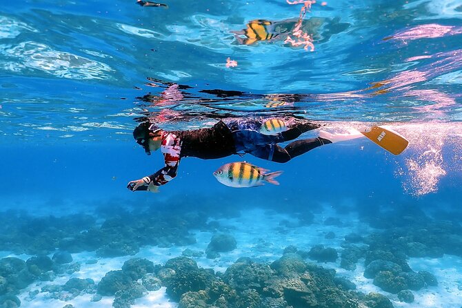 3-Island Speedboat Tour: Racha Noi, Racha Yai & Maiton - What’s Included (and What You’ll Pay For on Your Own)