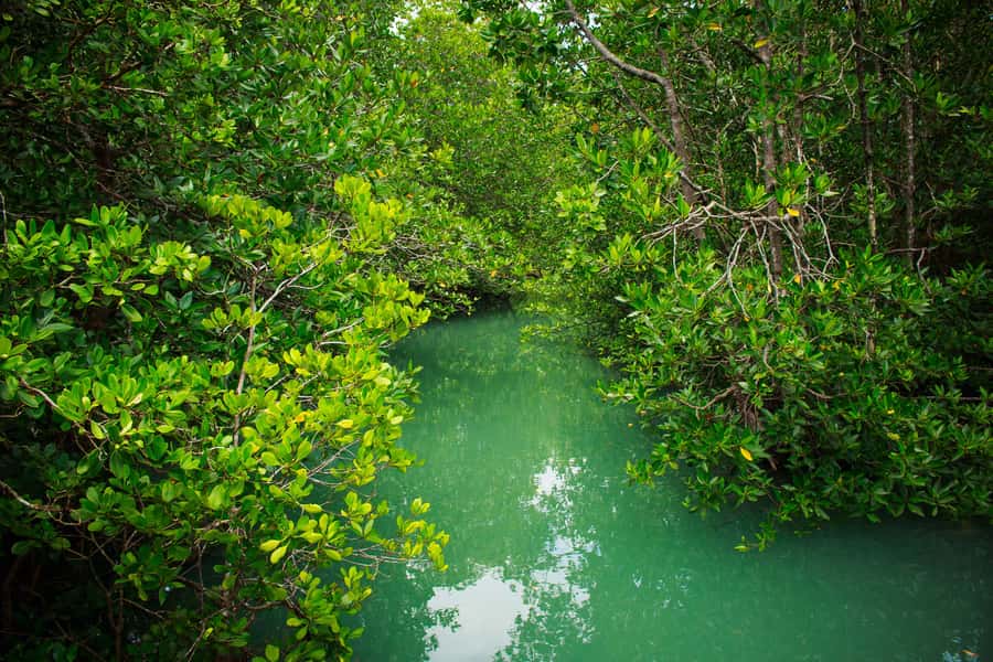 4 Waters Eco Adventure - Where the day starts: CC’s Hideaway and a 10 a.m. kick-off