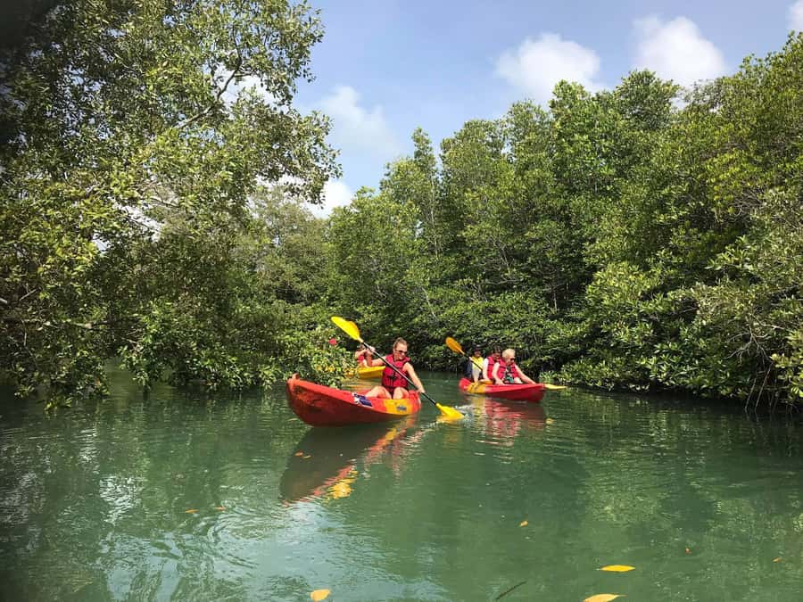 4 Waters Eco Adventure - Who should book this eco adventure (and who should skip it)