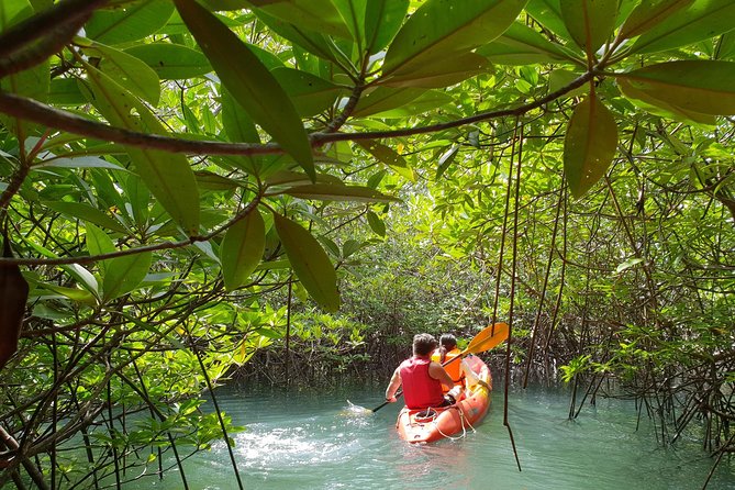 4-Waters Eco-Adventure Trip from Phuket Including Lunch - Fashi by Khrua Klang Dong lunch: a real break, not a token meal