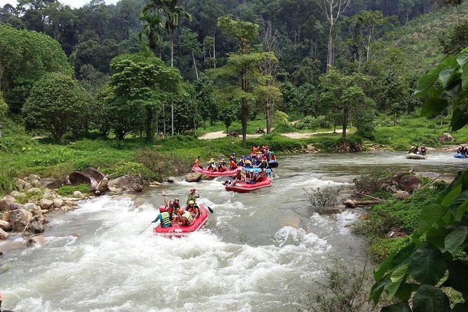 5 km White Water Rafting + ATV 1 Hour Tour From Phuket - Monkey Cave area: quick, lively, and close to nature