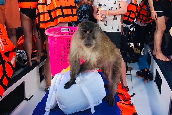 All-in Phi Phi, Maiton, MayaBay, Khai, Bamboo islands Tour - Monkey Beach and Maya Bay: Big Photos, Short Time Windows