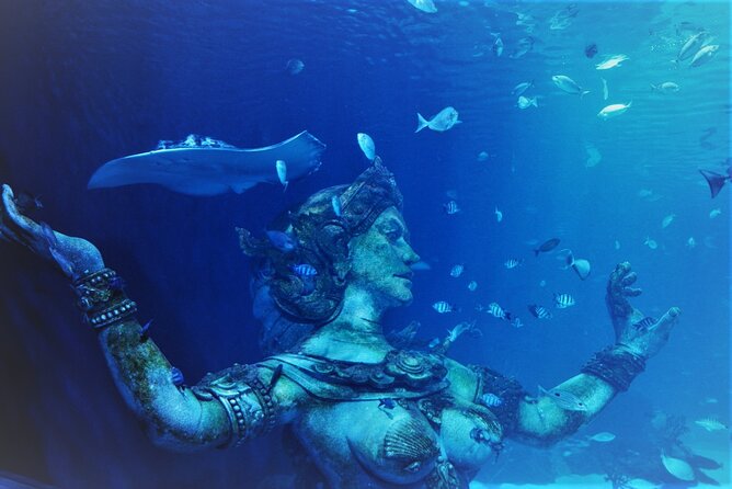 Aquarium Phuket and AR Trick Eye Museum Combo Tickets - Quick Practical Tips Before You Go