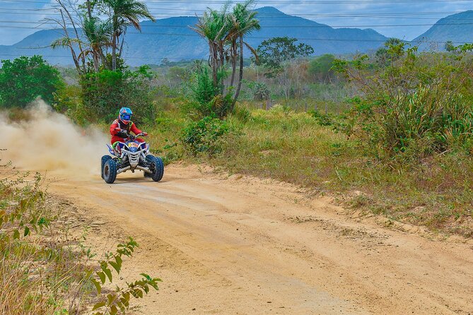 ATV Big Buddha Phuket Viewpoint - ATV Big Buddha in Phuket: Value That’s More Than the Price