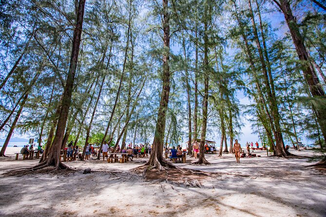 Bamboo Island and Phi Phi Island Full Day Tour From Phuket - Loh Samah Bay, Pileh Bay, Monkey Beach: the short-stop island sampler