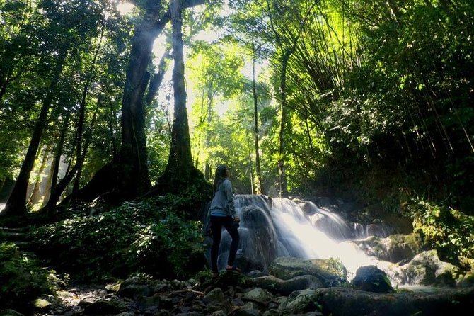 Bamboo Rafting, ATV Riding and Jungle Tour From Phuket - Small-group size and guide support: what it changes for you