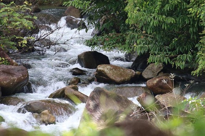 Bamboo Rafting, ATV Riding and Zip Line Tour From Phuket - Thai lunch with fruit and drinks: included, and actually important on a long day