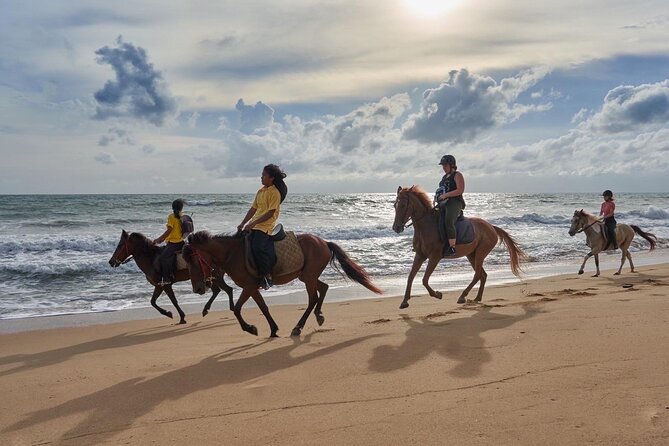 Beach Horse Riding Activity in Phuket - Getting There: Meeting Point and Start Time (So You Don’t Lose Ride Minutes)
