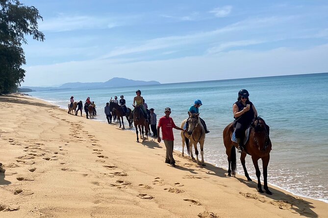 Beach Horse Riding Activity in Phuket - Pace, Control, and the Gallop Question (Read This Before You Assume)