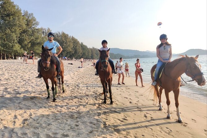 Beach Horse Riding Activity in Phuket - Horses and Staff: How the Small-Group Setup Changes Everything