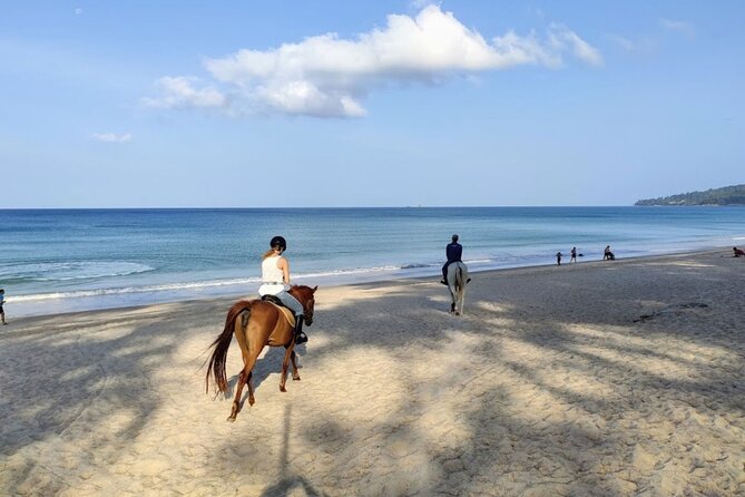 Beach Horse Riding Activity in Phuket - Who Should Book This Beach Horse Ride in Phuket