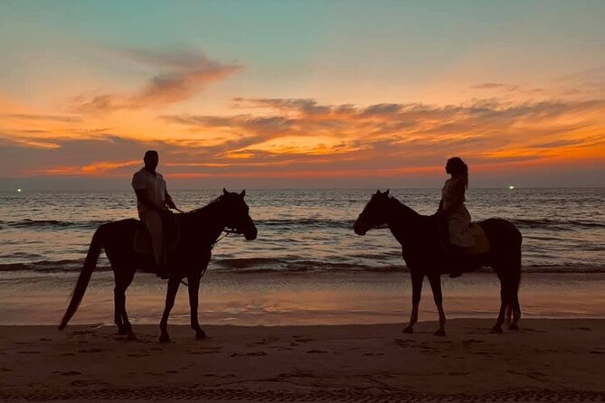 Beach Horse Riding At Sunset In Phuket - Value Check: Is $62.63 Worth It in Phuket?
