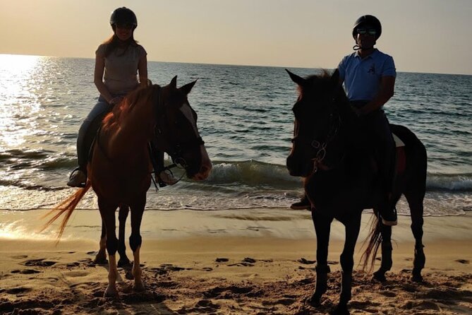 Beach Horse Riding At Sunset In Phuket - Horse Welfare and Your Personal Comfort Checklist