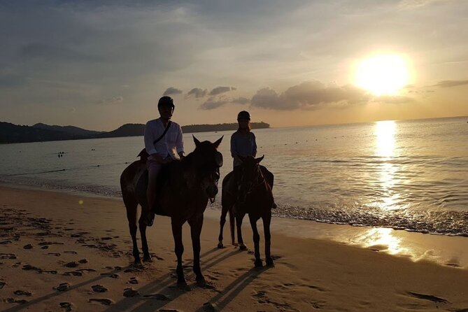 Beach Horse Riding At Sunset In Phuket - Your 1-Hour Ride Along Kamala Beach: Pace, Photos, and Water Time