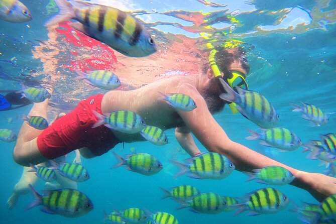 Best of Phi Phi Islands Snorkeling Tour from Phuket - Snorkeling on this tour: what’s included, what’s variable, and what to do