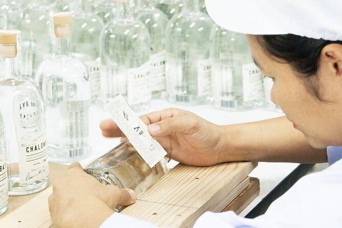 Chalong Bay Rum Distillery Experience - Chalong Bay Rum Distillery: a quick Phuket stop that feels real