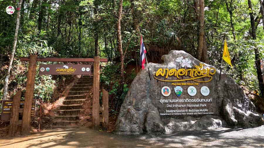 Chiang Mai: Doi Inthanon and Elephant Sanctuary Tour & Hike - What you do with Ban Mae Klang Luang and hill-tribe culture