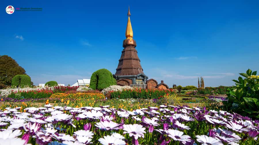 Chiang Mai: Doi Inthanon and Elephant Sanctuary Tour & Hike - Doi Inthanon National Park: mist, highest-point energy, and a guided nature route