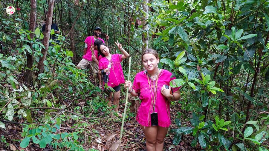 Chiang Mai: Doi Inthanon and Elephant Sanctuary Tour & Hike - Price and value: $93 per person for tickets, guide, food, and the full mountain arc