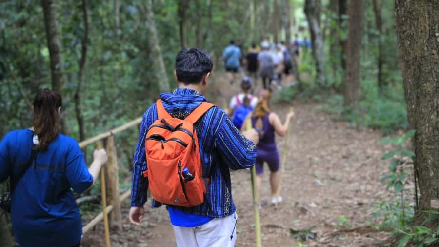 Chiang Mai: Doi Inthanon and Elephant Sanctuary Tour & Hike - Elephant sanctuary time: feeding, bathing, and rules that matter