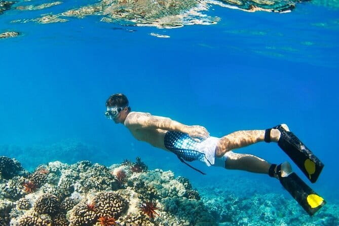 Coral Island Banana Beach Snorkeling and Clear Kayak Tour - From Phuket hotels to Chalong Pier: the morning setup