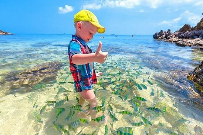 Coral Island by Speed boat from Phuket - Price and value: is $51.96 a smart deal?