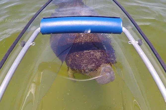 Coral Island & Racha Island Speedboat Excursion - Racha Noi: the quiet, rocky twin you only need a little of