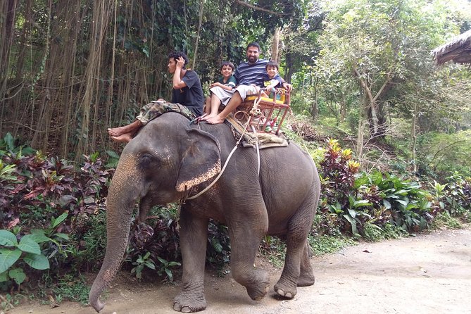 Customized Phuket Tours with Private Driver - Customization That Actually Feels Useful