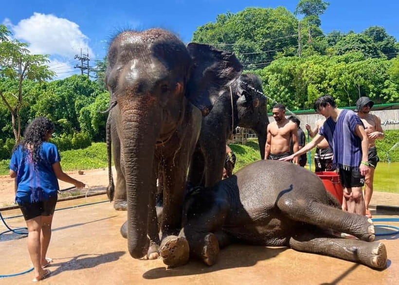 Elephant Experience with transfers and Thai food buffet - Karen tie-dye workshop: a hands-on souvenir with real technique