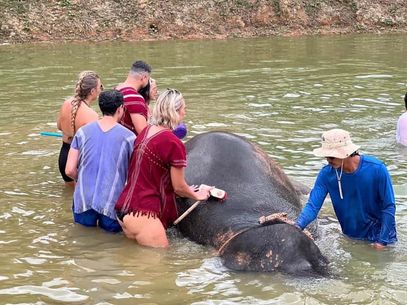 Elephant Experience with transfers and Thai food buffet - Photos, coffee, cookies, and the little extras that add real value