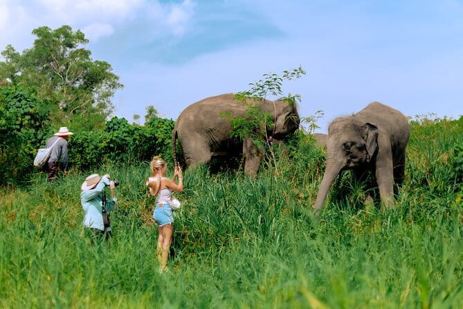 Elephant Nature Experience with Lunch at Bukit Elephant Park - Meet the mahouts, learn elephant habits, and why it changes your view