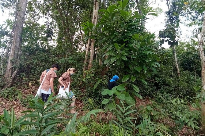 Elephant Sanctuary Small Group Tour in Phuket - Key Highlights Before You Go