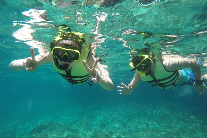 Exclusive Small Group Phi Phi Islands Sunrise or Day Trip - Monkey Beach and Viking Cave: animals, nests, and quick stops