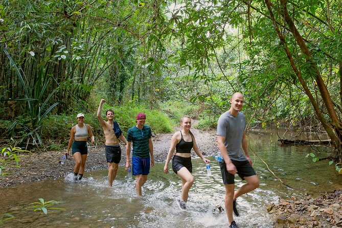 Explore Khao Sok: Jungle Safari in Thailand’s Pristine Rainforest - Nature Camp + Jungle Hiking: Views and Time to Look Up