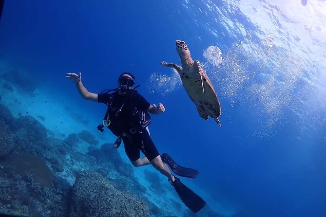 Explore Scuba Diving at Racha Yai Island from Phuket - Key highlights you’ll actually care about