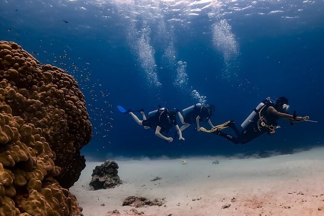 Explore Scuba Diving at Racha Yai Island from Phuket - A Day on MV Andaman Seafarer 1 or 2