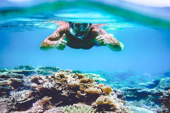 Explore Surin Islands: Ultimate Snorkeling Day Trip from Phuket - How The Day Trip Works From Phuket (And Why Timing Is Everything)
