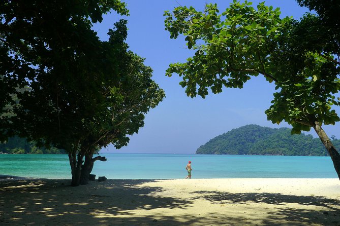 Explore Surin Islands: Ultimate Snorkeling Day Trip from Phuket - The Moken Eco Village: A Cultural Stop That Actually Connects to the Ocean