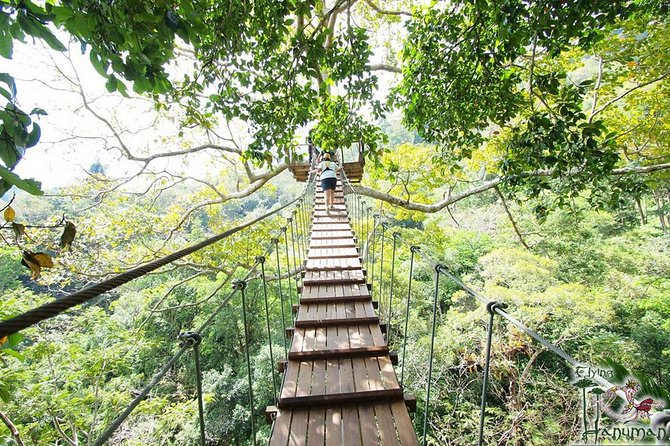 Flying Hanuman Zipline Adventure – Soar Through the Jungle! - Price and What You Actually Get for $93.70