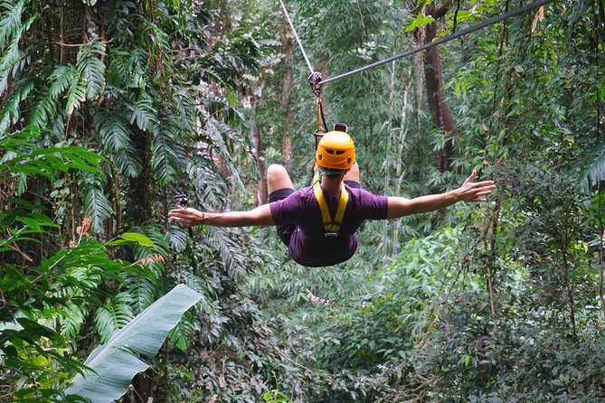 Flying Hanuman Zipline Adventure – Soar Through the Jungle! - The Flying Part: Views, Speed, and the Real Feel of the Jungle Ride