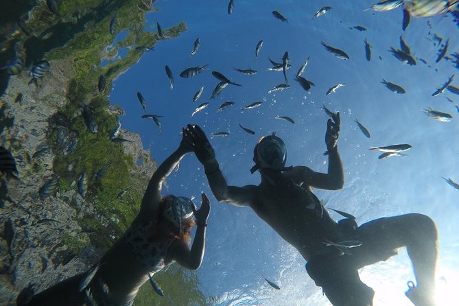 From Khao Lak : Full-Day Private Phi Phi Islands Speedboat Charter - Stop-by-stop: Maya Bay, Pileh Lagoon, and Viking Cave